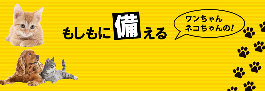 もしもに備える　ワンちゃんネコちゃんの防災グッズ特集