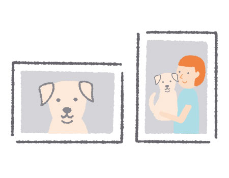 ペットの写真