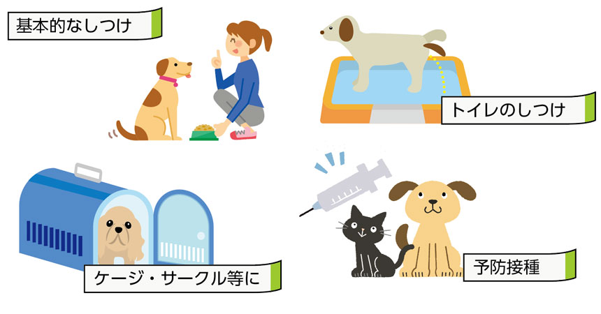 日頃から心掛けたい準備