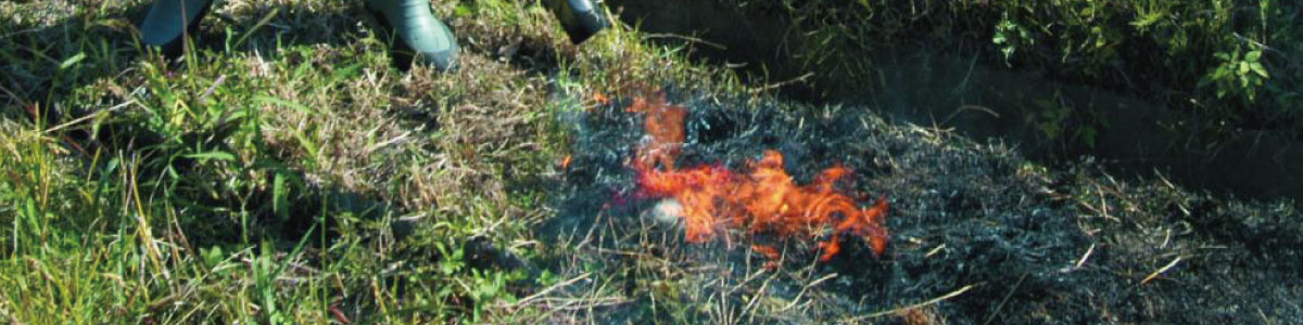 �������ߑ��Ă��o�[�i�[���W