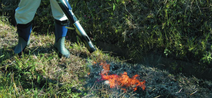 �������ߑ��Ă��o�[�i�[���W