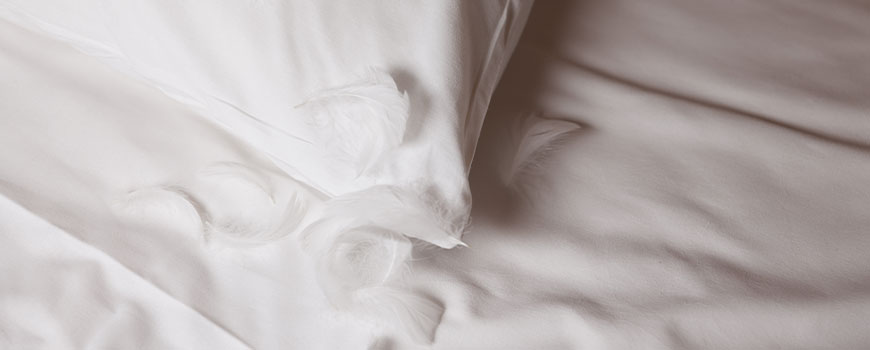 羽毛布団の中身が片寄っていたり側生地が破れて羽毛が吹き出している箇所がある