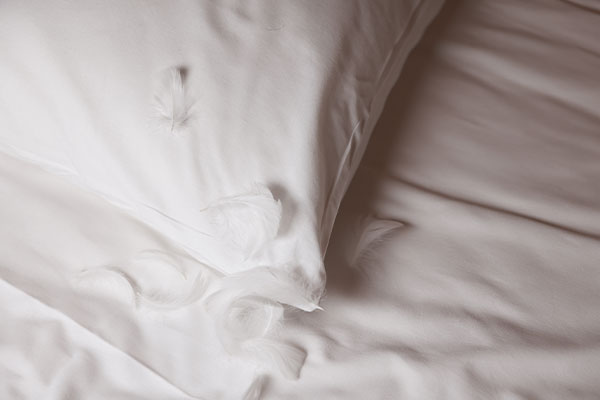 羽毛布団の中身が片寄っていたり側生地が破れて羽毛が吹き出している箇所がある