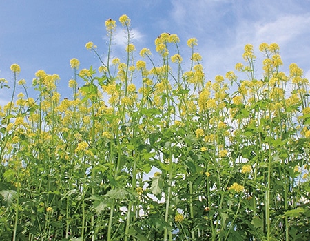 �y��a�Q��}��