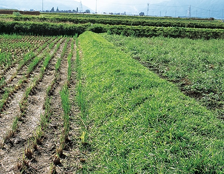 �G����}��