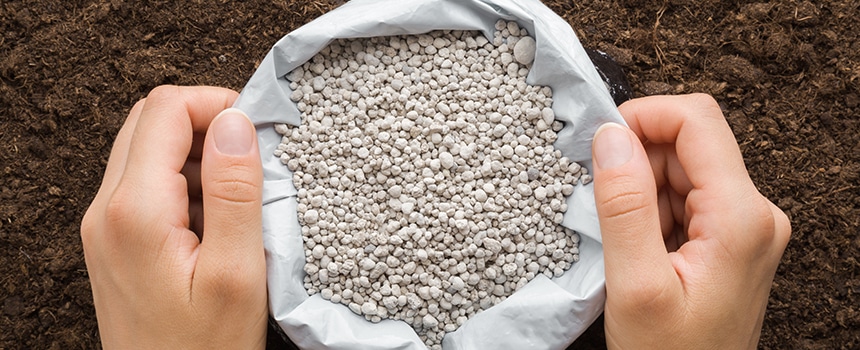 ����̈���E����