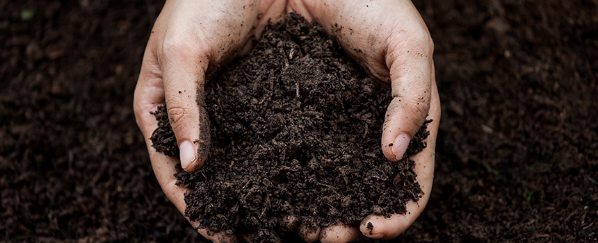 �ł܂�Ȃ��y�Â���