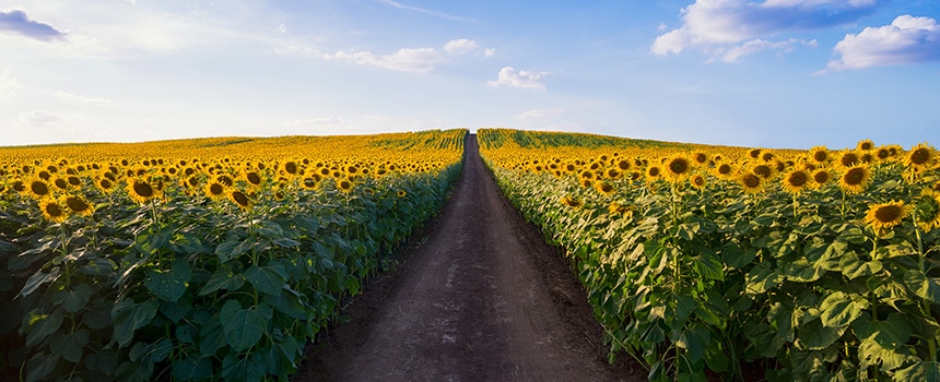 �i�ς�ǂ�����