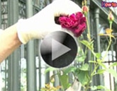 �o���̙�����@