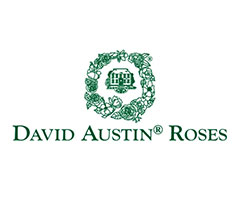 �f�r�b�h�I�[�X�`��