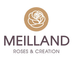 ���C�A��