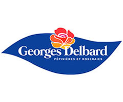 �f���o�[��