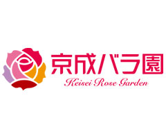 �����o����