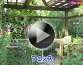 バラの仕立て方