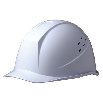 �w�����b�g