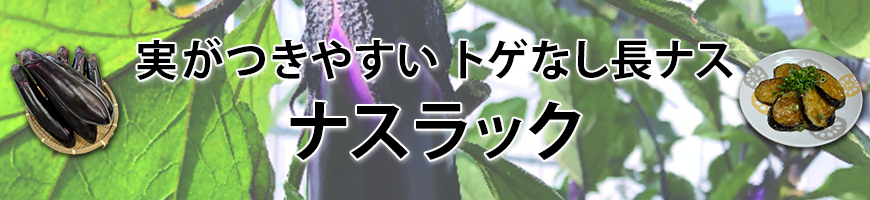 実がつきやすい トゲなし長ナス ナスラック