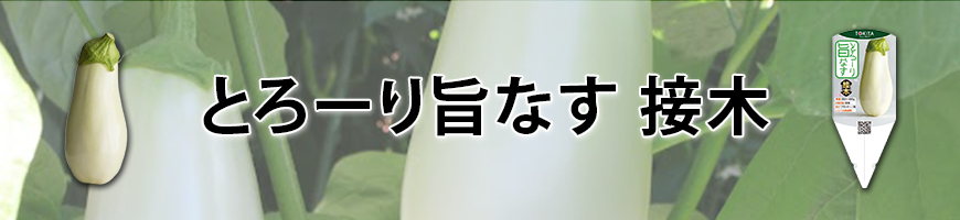 とろーり旨なす 接木