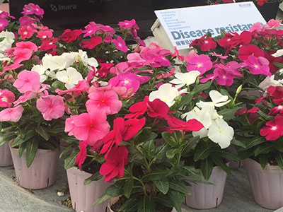 �A���ւ���