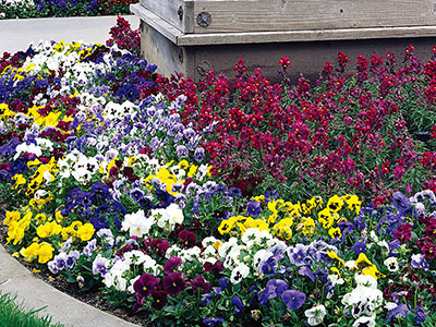 �y�Ԓd�ɐA�����ꍇ�z