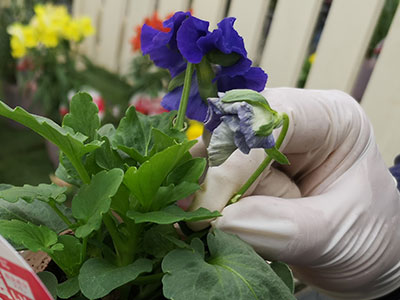 �ԓE�݂�����