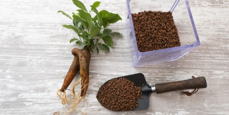 ハイドロボールを使った涼しい鉢植え