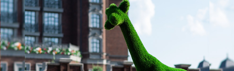 トピアリーを作ろう