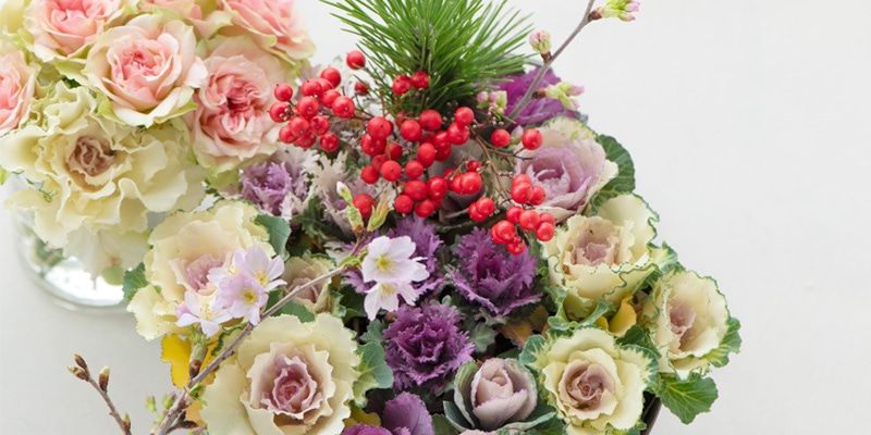 玄関先に飾る華やかな寄せ植え