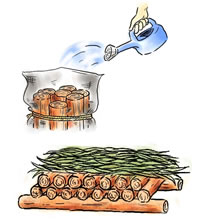 ほだ木管理（仮伏せ）