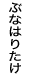 ぶなはりたけ