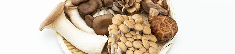 きのこの作り方