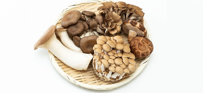 きのこの作り方