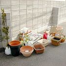 月桂樹とハーブの植える手順_01