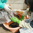 月桂樹とハーブの植える手順_02