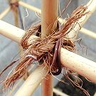 月桂樹とハーブの植える手順_11