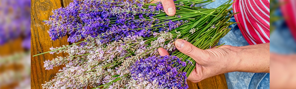 ラベンダースティックの作り方