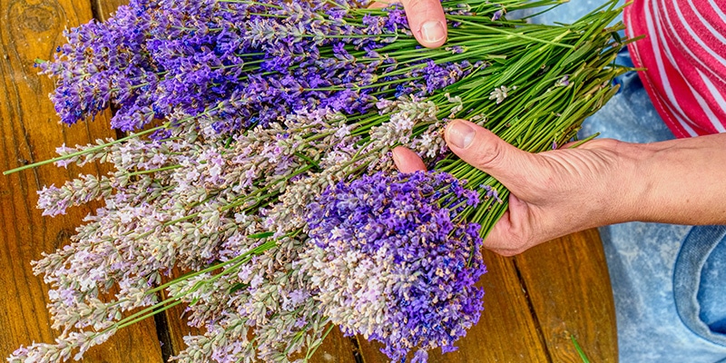 ラベンダースティックの作り方