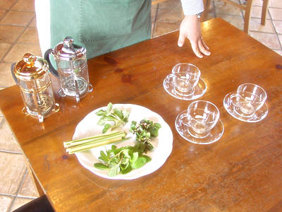 ハーブティーを楽しもう！