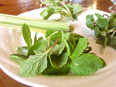 オリーブオイルをかけ入れていきます