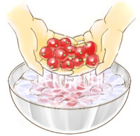 ハーブティーを楽しもう！