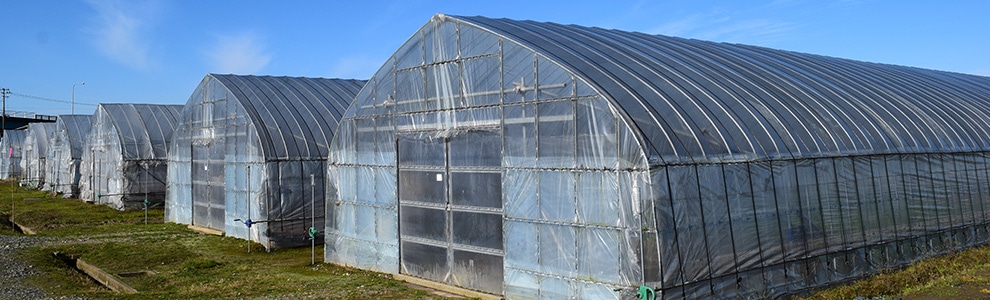 ビニールハウスの基礎知識