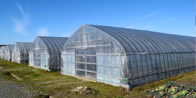 ビニールハウスの基礎知識