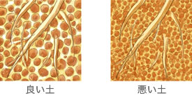 良い土　悪い土
