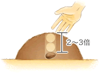 覆土　種の厚さの2～3倍