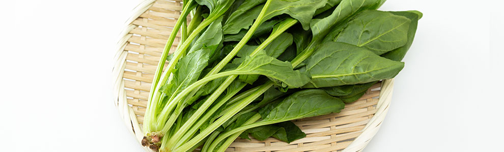 ほうれん草の育て方