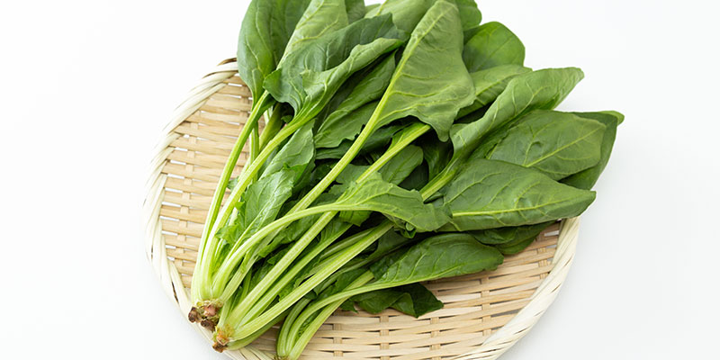 ほうれん草の育て方