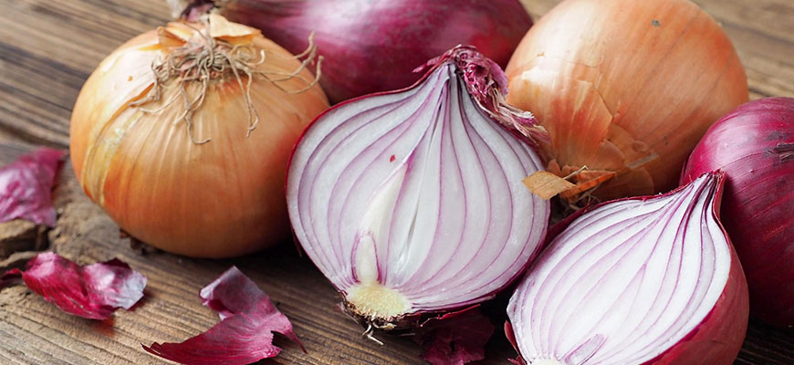 タマネギの作り方