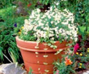 下の材料を用意する