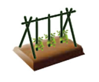 着果時に使用する支柱