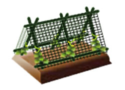 定植時に使用する支柱