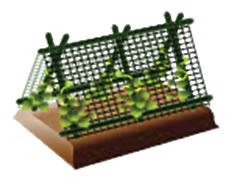 着果時に使用する支柱